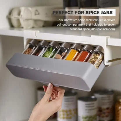 Spice Organizer Drawer